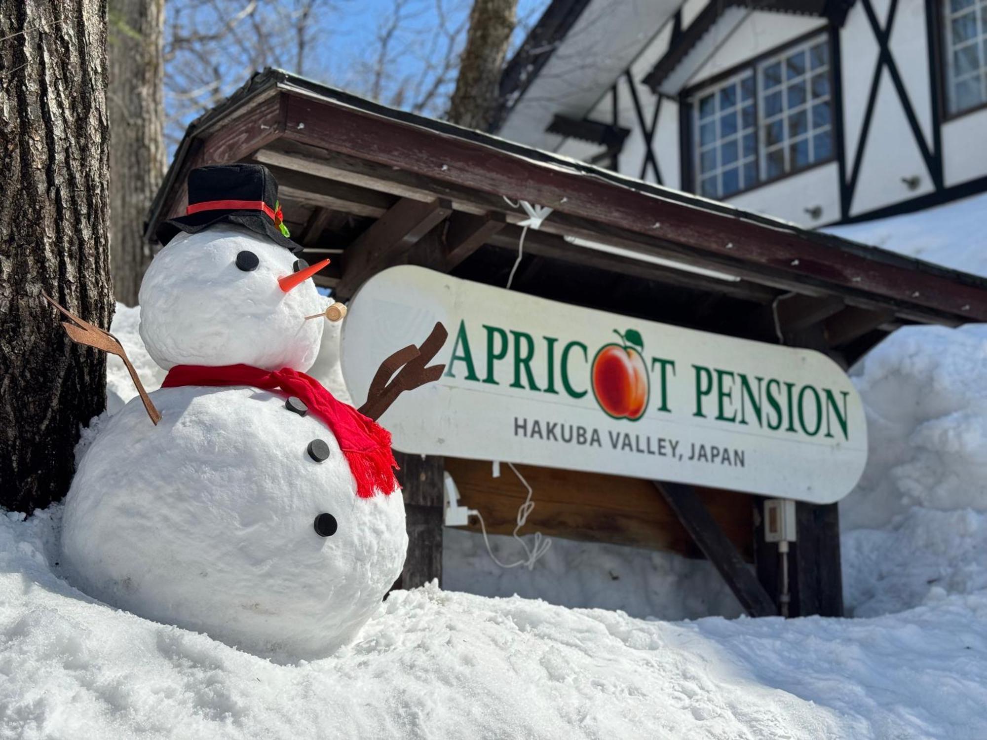 Apricot Pension Hakuba Buitenkant foto