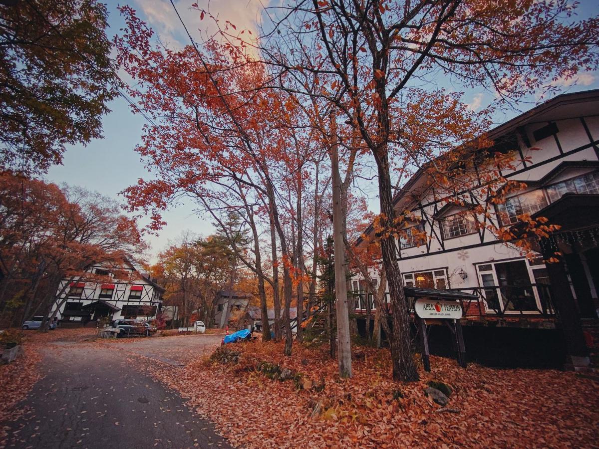 Apricot Pension Hakuba Buitenkant foto