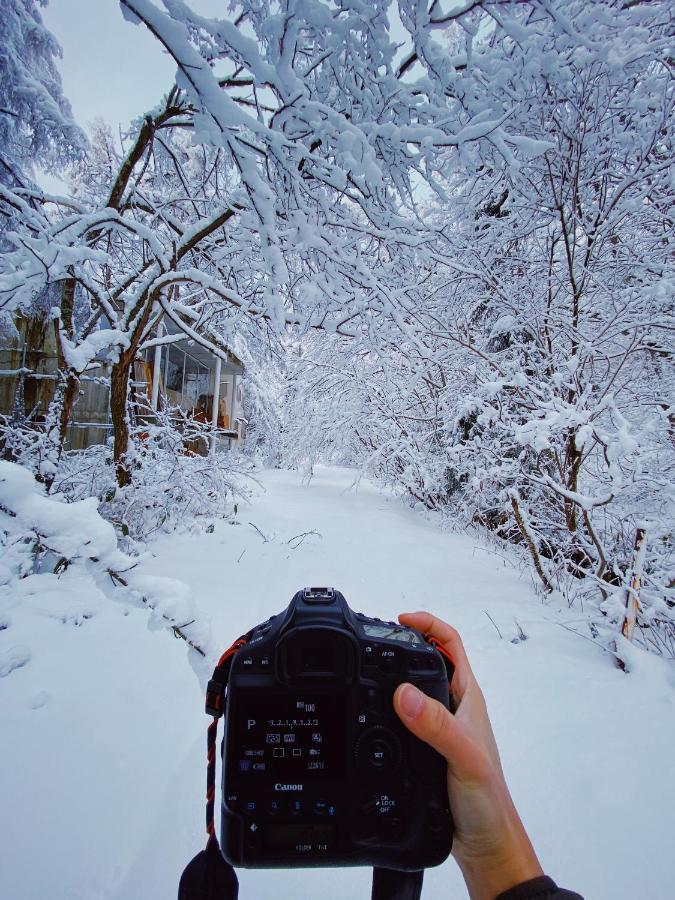 Apricot Pension Hakuba Buitenkant foto